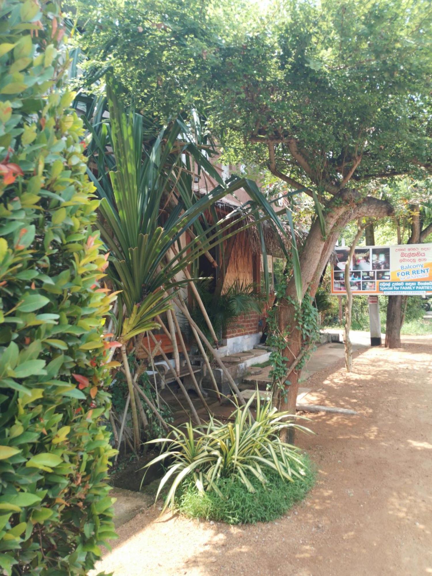 Lucky Holiday Home Anuradhapura Zewnętrze zdjęcie